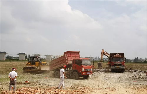 湖北麥稈環保項目建設進展順利