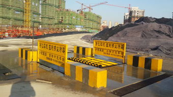 世界環境日 合肥致盛與環保共行