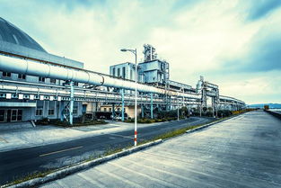 上海自由貿易港方案細節來了 外匯管理 稅收優惠 外地員工落戶都可能有大動作